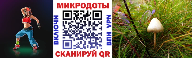 Галлюциногенные грибы мицелий  дарнет шоп  Белинский 